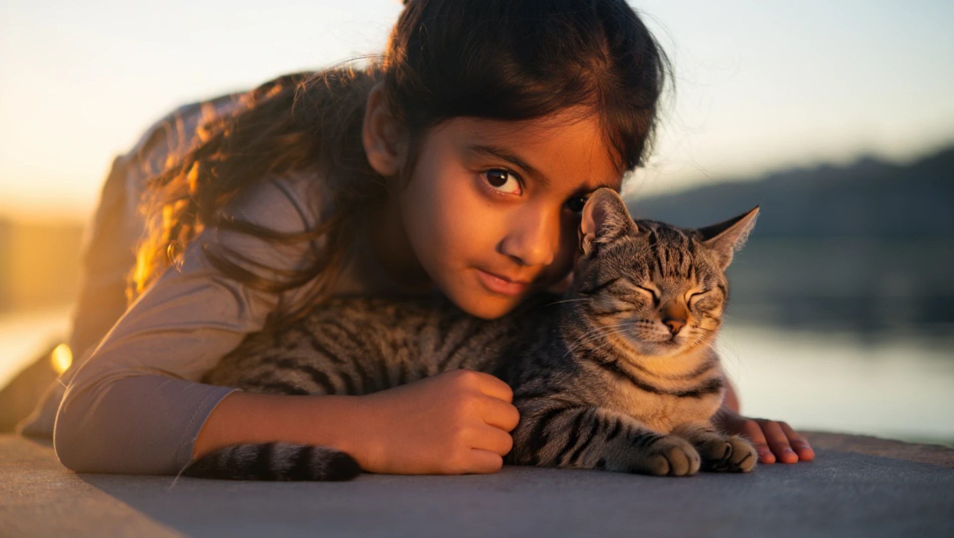 cremazione-gatti-genova